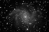 20080829-NGC6946